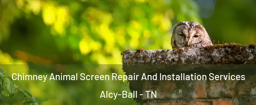 Chimney Animal Screen Repair And Installation Services Alcy-Ball - TN