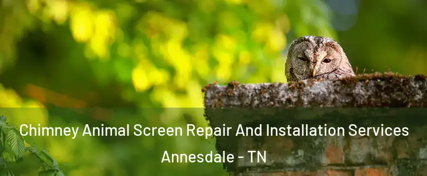 Chimney Animal Screen Repair And Installation Services Annesdale - TN