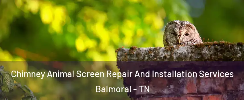 Chimney Animal Screen Repair And Installation Services Balmoral - TN