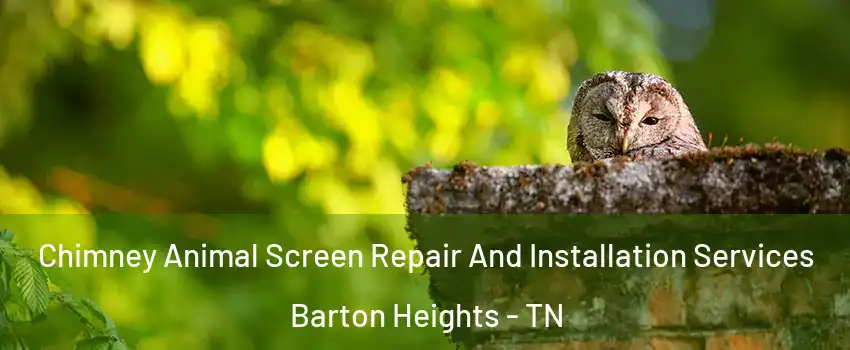 Chimney Animal Screen Repair And Installation Services Barton Heights - TN