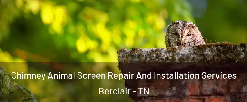 Chimney Animal Screen Repair And Installation Services Berclair - TN