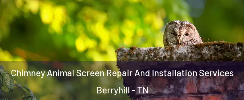 Chimney Animal Screen Repair And Installation Services Berryhill - TN