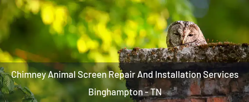 Chimney Animal Screen Repair And Installation Services Binghampton - TN