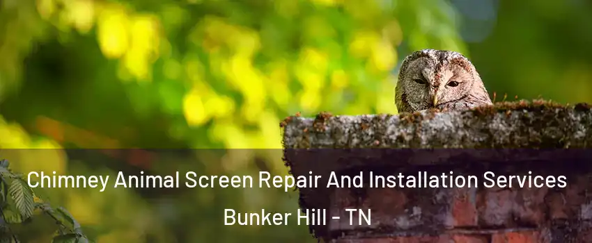 Chimney Animal Screen Repair And Installation Services Bunker Hill - TN