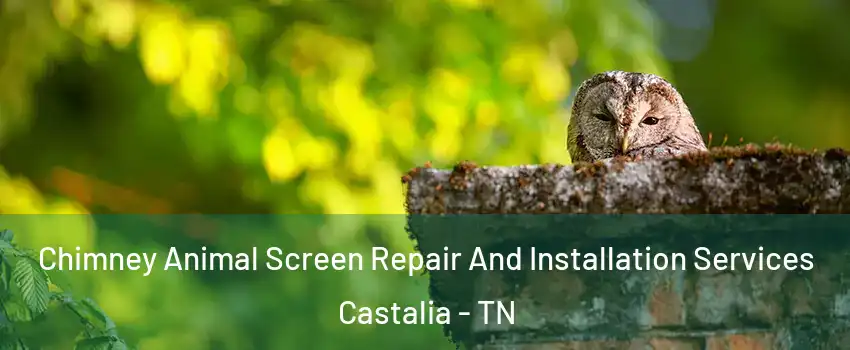 Chimney Animal Screen Repair And Installation Services Castalia - TN