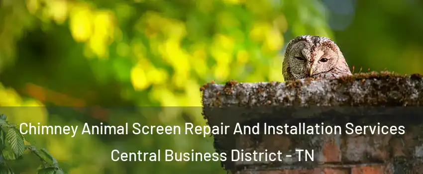 Chimney Animal Screen Repair And Installation Services Central Business District - TN