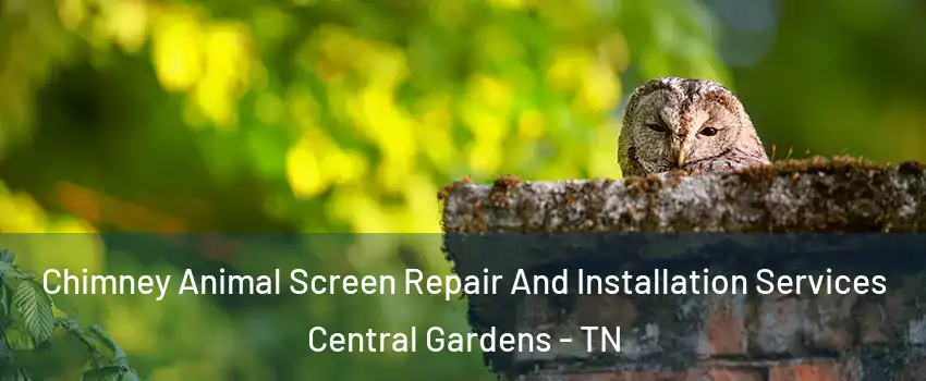 Chimney Animal Screen Repair And Installation Services Central Gardens - TN