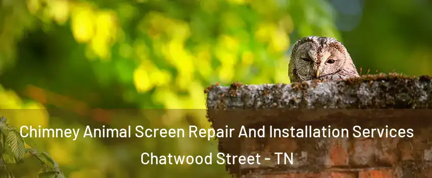 Chimney Animal Screen Repair And Installation Services Chatwood Street - TN