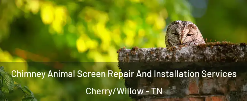 Chimney Animal Screen Repair And Installation Services Cherry/Willow - TN