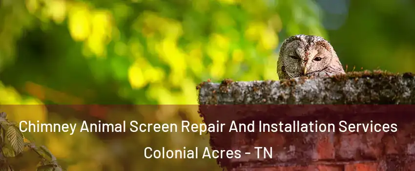 Chimney Animal Screen Repair And Installation Services Colonial Acres - TN