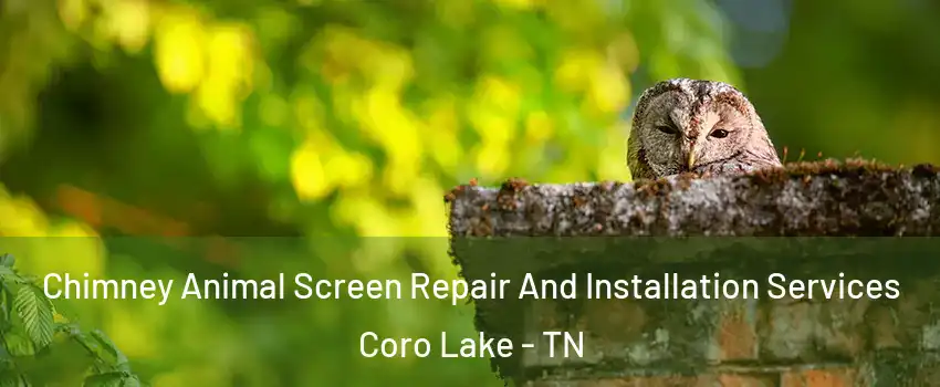 Chimney Animal Screen Repair And Installation Services Coro Lake - TN