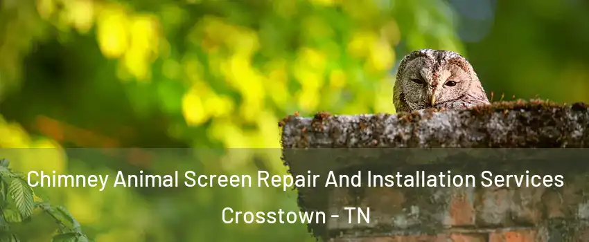 Chimney Animal Screen Repair And Installation Services Crosstown - TN