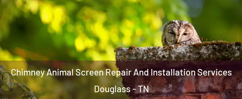 Chimney Animal Screen Repair And Installation Services Douglass - TN