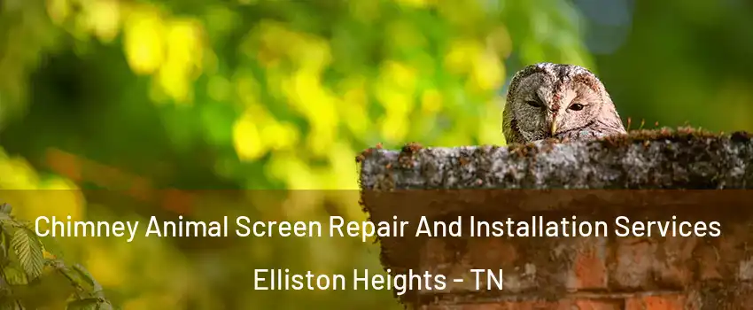 Chimney Animal Screen Repair And Installation Services Elliston Heights - TN