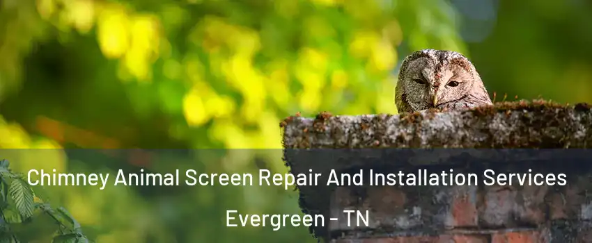 Chimney Animal Screen Repair And Installation Services Evergreen - TN