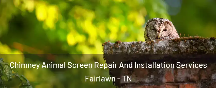 Chimney Animal Screen Repair And Installation Services Fairlawn - TN