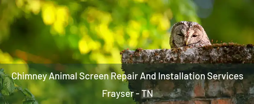 Chimney Animal Screen Repair And Installation Services Frayser - TN