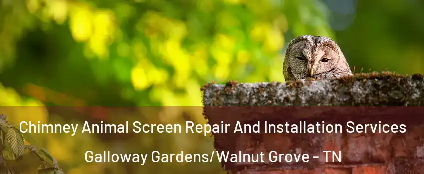 Chimney Animal Screen Repair And Installation Services Galloway Gardens/Walnut Grove - TN