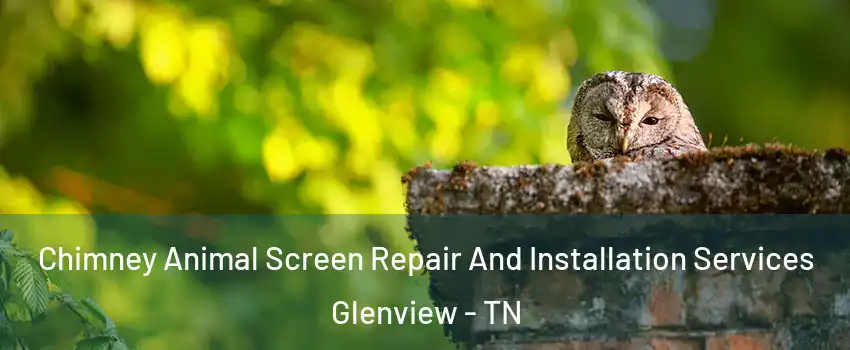 Chimney Animal Screen Repair And Installation Services Glenview - TN