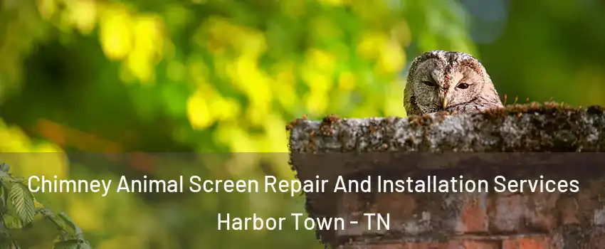 Chimney Animal Screen Repair And Installation Services Harbor Town - TN