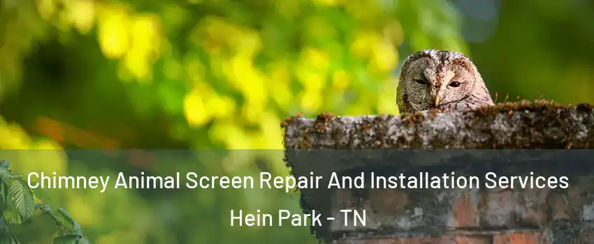 Chimney Animal Screen Repair And Installation Services Hein Park - TN