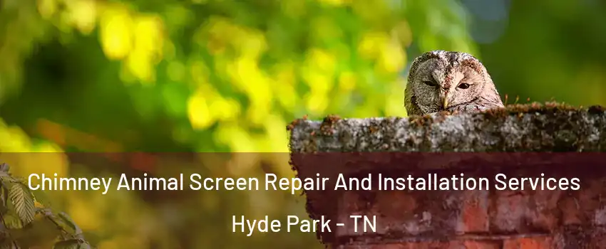 Chimney Animal Screen Repair And Installation Services Hyde Park - TN