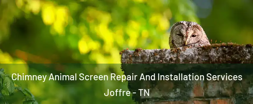 Chimney Animal Screen Repair And Installation Services Joffre - TN