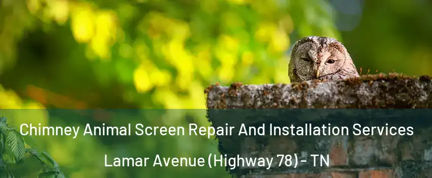 Chimney Animal Screen Repair And Installation Services Lamar Avenue (Highway 78) - TN