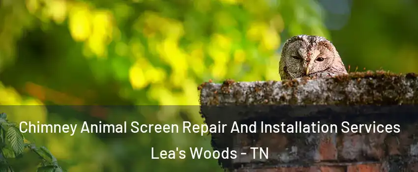 Chimney Animal Screen Repair And Installation Services Lea's Woods - TN