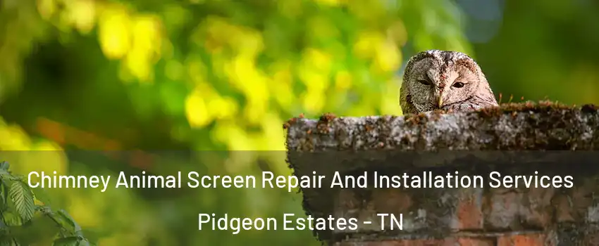 Chimney Animal Screen Repair And Installation Services Pidgeon Estates - TN