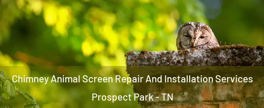 Chimney Animal Screen Repair And Installation Services Prospect Park - TN