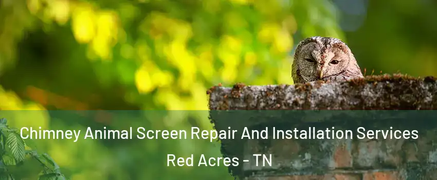 Chimney Animal Screen Repair And Installation Services Red Acres - TN