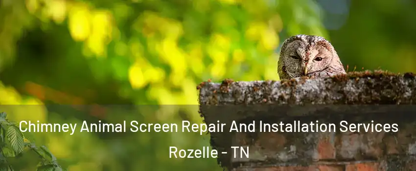 Chimney Animal Screen Repair And Installation Services Rozelle - TN