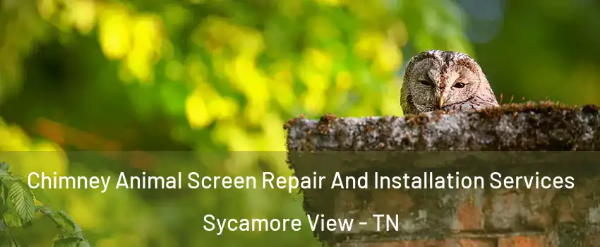 Chimney Animal Screen Repair And Installation Services Sycamore View - TN