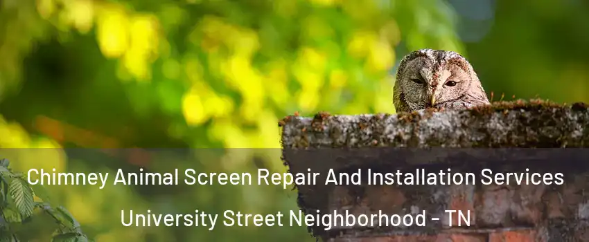 Chimney Animal Screen Repair And Installation Services University Street Neighborhood - TN