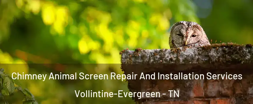 Chimney Animal Screen Repair And Installation Services Vollintine-Evergreen - TN