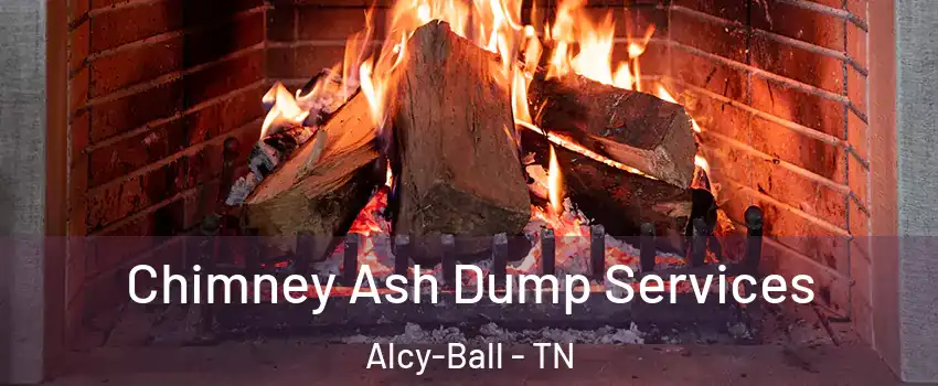 Chimney Ash Dump Services Alcy-Ball - TN