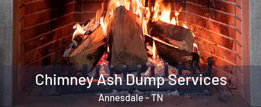 Chimney Ash Dump Services Annesdale - TN