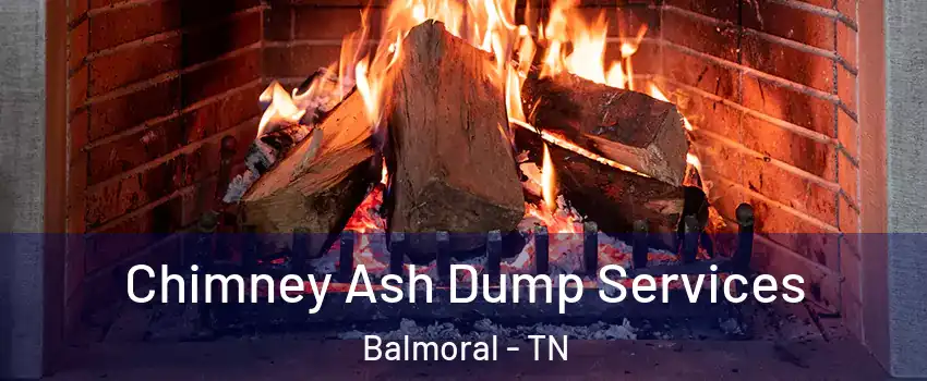 Chimney Ash Dump Services Balmoral - TN