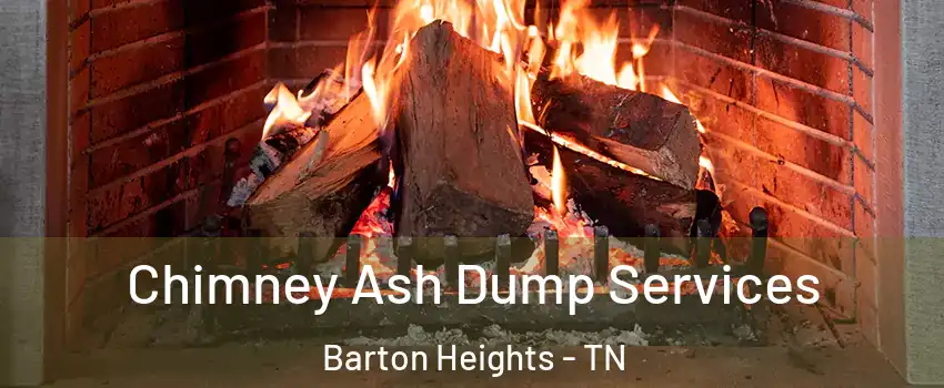 Chimney Ash Dump Services Barton Heights - TN