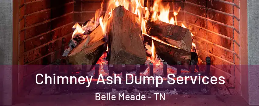 Chimney Ash Dump Services Belle Meade - TN