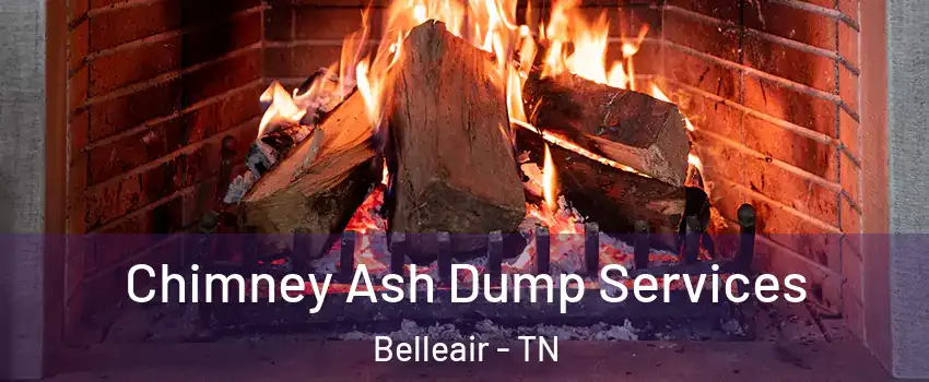 Chimney Ash Dump Services Belleair - TN