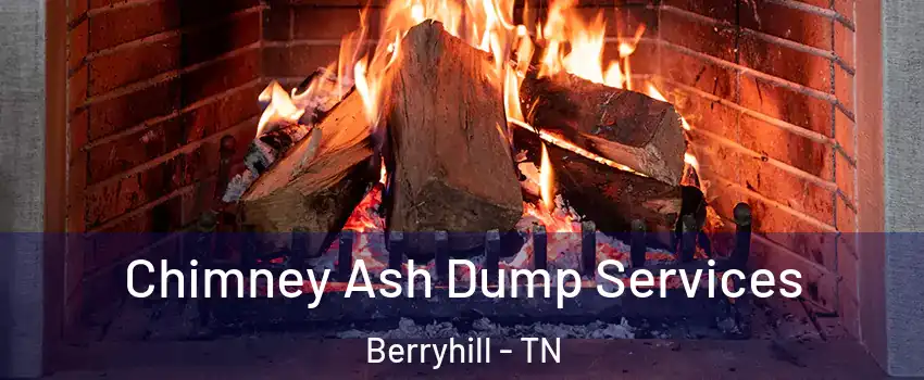 Chimney Ash Dump Services Berryhill - TN