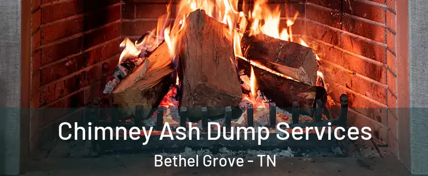 Chimney Ash Dump Services Bethel Grove - TN