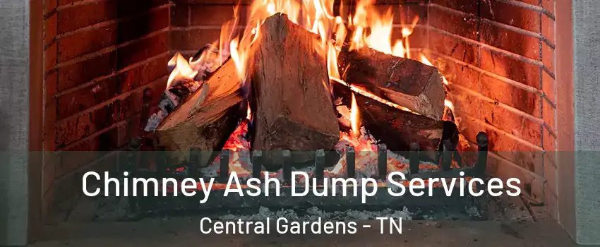 Chimney Ash Dump Services Central Gardens - TN