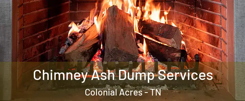 Chimney Ash Dump Services Colonial Acres - TN