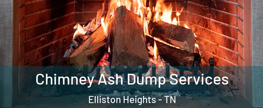 Chimney Ash Dump Services Elliston Heights - TN