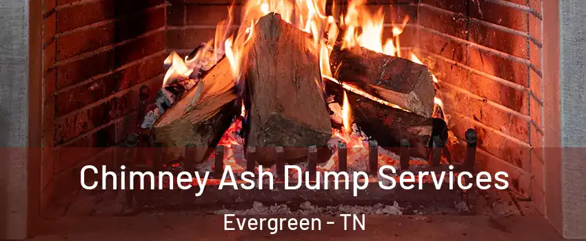 Chimney Ash Dump Services Evergreen - TN