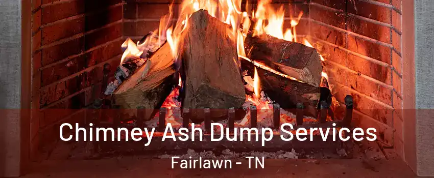 Chimney Ash Dump Services Fairlawn - TN