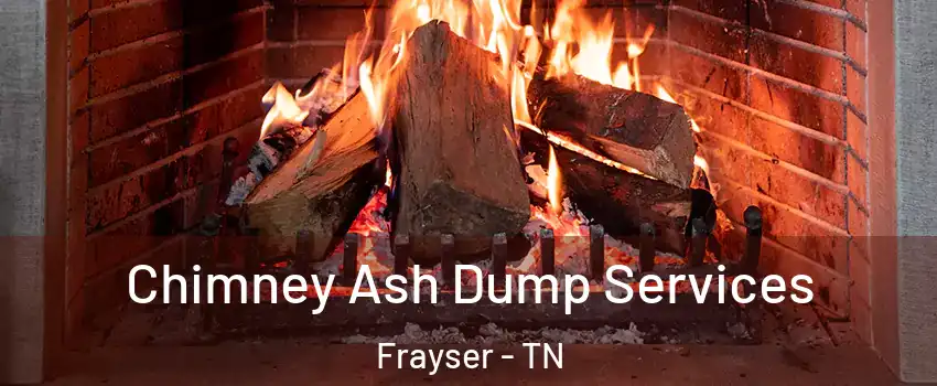 Chimney Ash Dump Services Frayser - TN